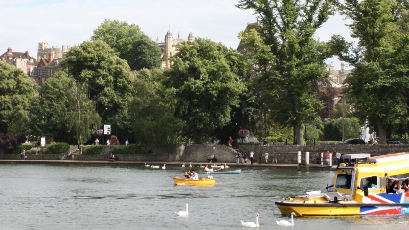 Windsor Duck Tours Logo
