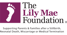 The Lily Mae Foundation_LLHM2026