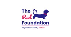 The_Red_Foundation_Emergency_Dachshund_Rescue_LLHM2026