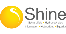 Shine_LLHM2027